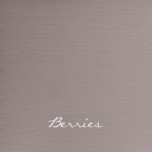 Load image into Gallery viewer, Autentico Velvet 2.5L Mauves, Yellows & Reds Velvet Autentico Paint Online