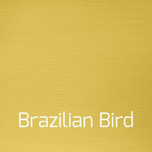 Load image into Gallery viewer, Brazilian Bird - Vintage-Vintage-Autentico Paint Online