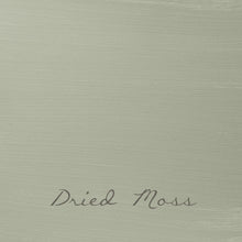 Load image into Gallery viewer, Autentico Velvet 2.5L Blues & Greens Velvet Autentico Paint Online