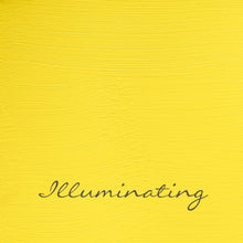 Load image into Gallery viewer, Autentico Velvet 2.5L Mauves, Yellows & Reds Velvet Autentico Paint Online