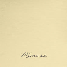 Load image into Gallery viewer, Autentico Velvet 2.5L Mauves, Yellows & Reds Velvet Autentico Paint Online