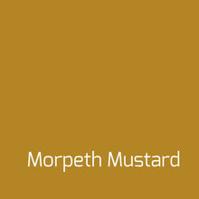Load image into Gallery viewer, Morpeth Mustard - Vintage-Vintage-Autentico Paint Online
