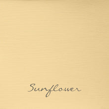 Load image into Gallery viewer, Autentico Velvet 2.5L Mauves, Yellows & Reds