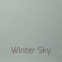 Load image into Gallery viewer, Winter Sky - Vintage-Vintage-Autentico Paint Online