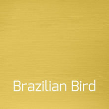 Load image into Gallery viewer, Brazilian Bird - Vintage-Vintage-Autentico Paint Online
