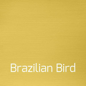 Brazilian Bird - Vintage-Vintage-Autentico Paint Online