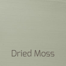 Load image into Gallery viewer, Dried Moss - Versante Matt-Versante Matt-Autentico Paint Online
