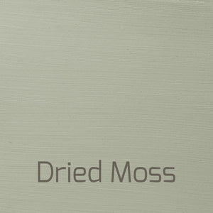 Dried Moss - Versante Matt-Versante Matt-Autentico Paint Online