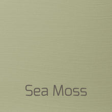Load image into Gallery viewer, Sea Moss - Vintage-Vintage-Autentico Paint Online

